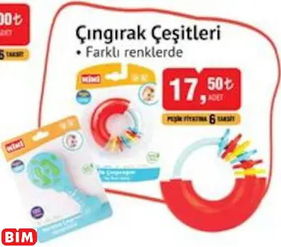 ÇINGIRAK ÇEŞİTLERİ